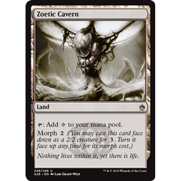 Zoetic Cavern - A25