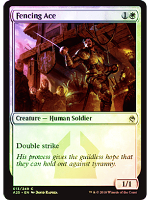 Fencing Ace - A25 ★ 