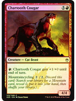 Chartooth Cougar - A25 ★ 