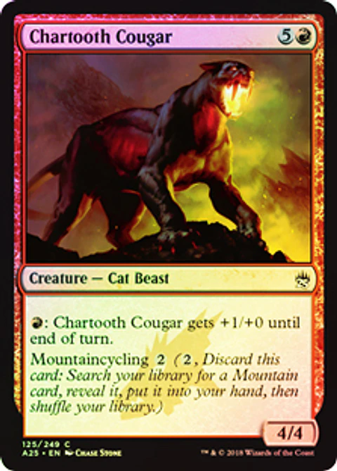 Chartooth Cougar - A25 ★ 