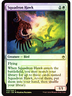 Squadron Hawk - A25 ★