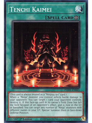 Tenchi Kaimei - PHHY-EN065 - Common 