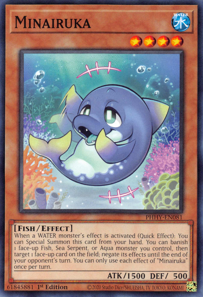 Minairuka - PHHY-EN081 - Common  1