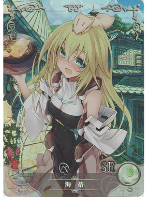 Heidi Augesvarer - NS-2M05-040 - SR 