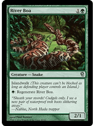 River Boa - JVV