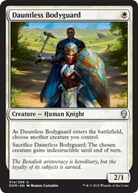 Dauntless Bodyguard - DOM