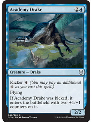 Academy Drake - DOM