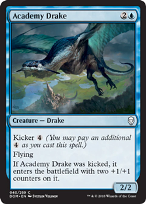 Academy Drake - DOM