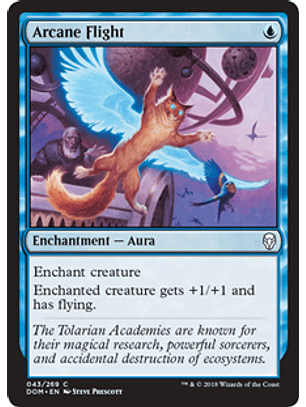 Arcane Flight  - DOM