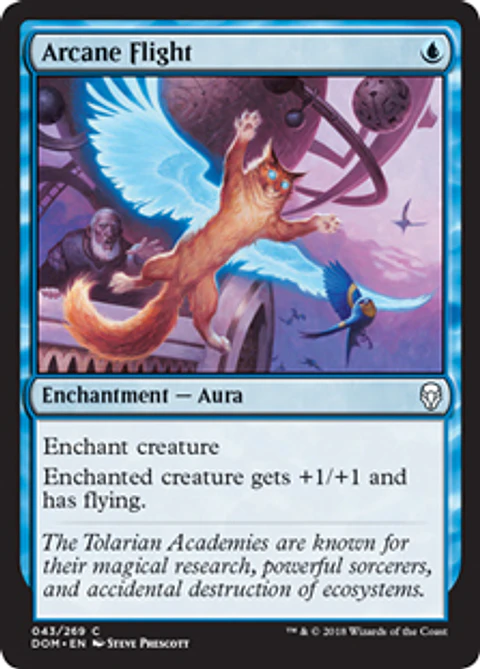 Arcane Flight  - DOM