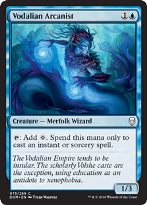 Vodalian Arcanist - DOM - C