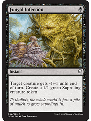 Fungal Infection  - DOM - C