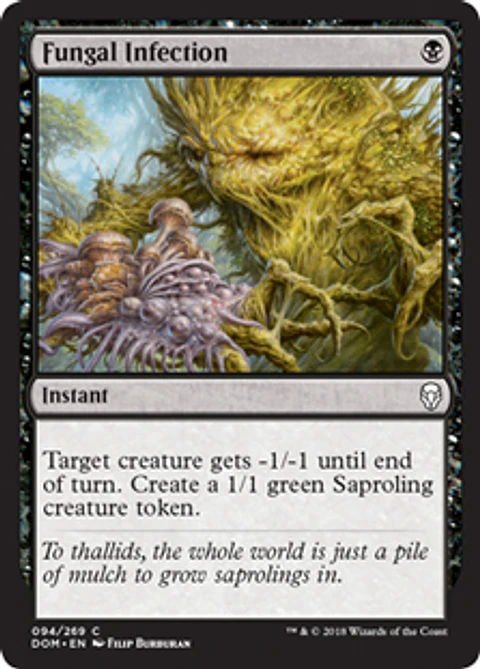 Fungal Infection  - DOM - C