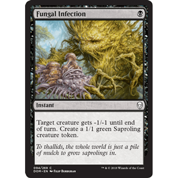 Fungal Infection  - DOM