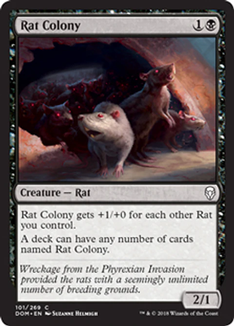 Rat Colony - DOM