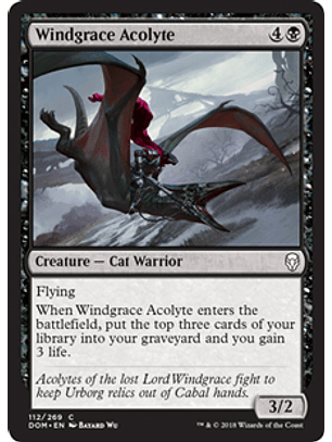 Windgrace Acolyte - DOM