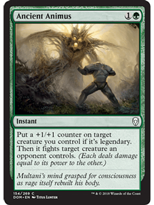 Ancient Animus - DOM