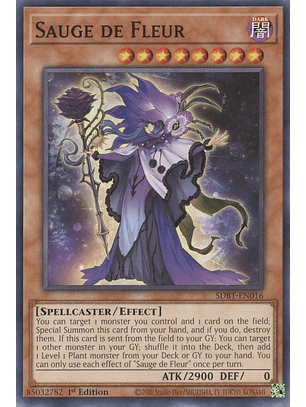 Sauge de Fleur - SDBT-EN016 - Common 