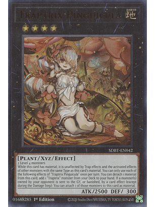 Traptrix Pinguicula - SDBT-EN042 - Ultra Rare 