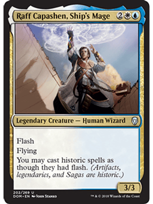 Raff Capashen, Ship's Mage - DOM