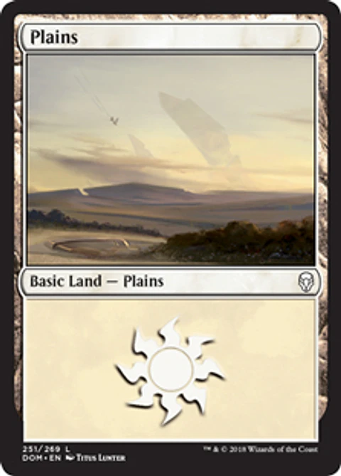 Plains 251 - DOM