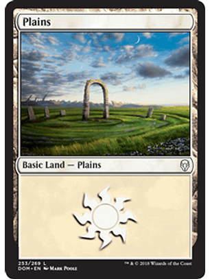Plains 253 - DOM