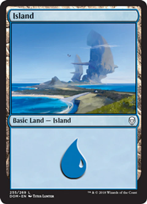 Island 255 - DOM