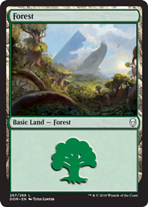 Forest 267 - DOM 