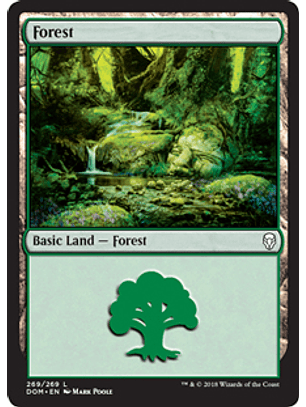 Forest 269 - DOM 