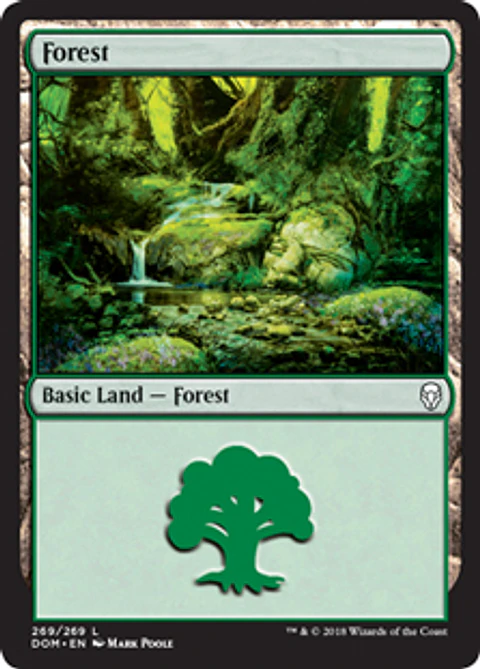 Forest 269 - DOM 