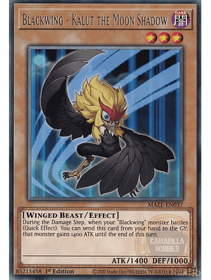 Blackwing - Kalut the Moon Shadow - MAZE-EN037 - Rare