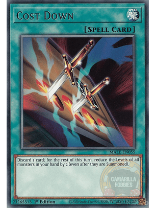 Cost Down - MAZE-EN055 - Rare 