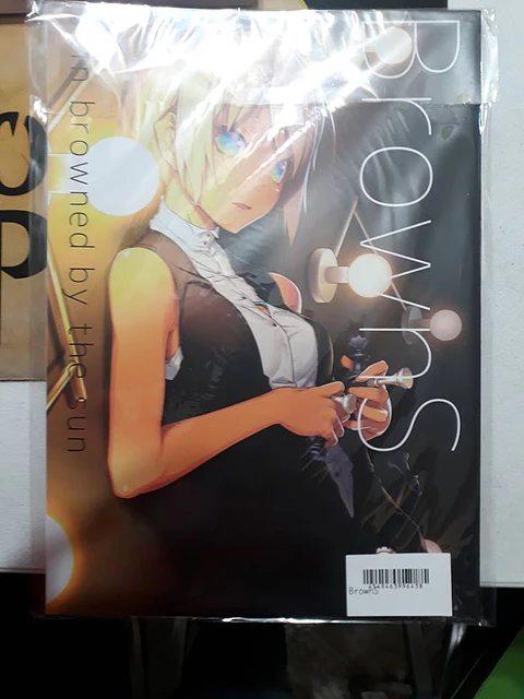 Artbook - Browns Skin Browned by the Sun (Japones)