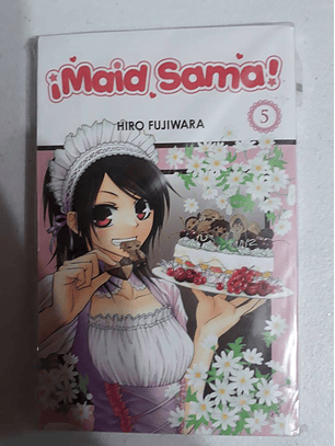Maid Sama! Vol 5
