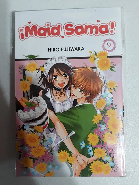 Maid Sama! Vol 9