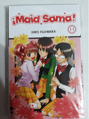 Maid Sama! Vol 11