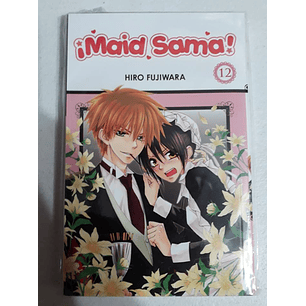 Maid Sama! Vol 12