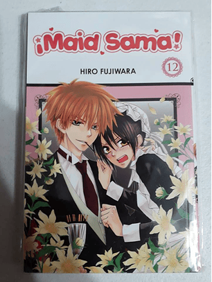 Maid Sama! Vol 12