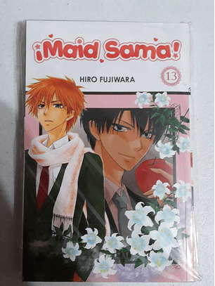 Maid Sama! Vol 13