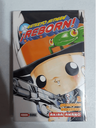 Katekyo Hitman Reborn Vol 1