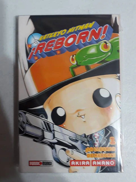 Katekyo Hitman Reborn Vol 1