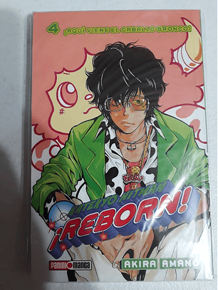 Katekyo Hitman Reborn Vol 4