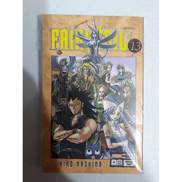 Fairy Tail Vol 13