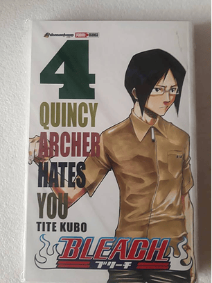 Bleach Vol 4