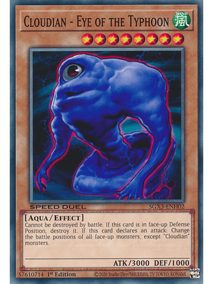 Cloudian - Eye of the Typhoon - SGX3-ENH02 - Common