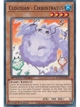 Cloudian - Cirrostratus - SGX3-ENH05 - Common