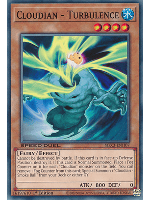 Cloudian - Turbulence - SGX3-ENH07 - Common 