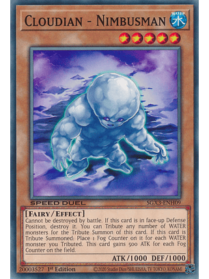 Cloudian - Nimbusman - SGX3-ENH09 - Common