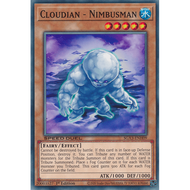 Cloudian - Nimbusman - SGX3-ENH09 - Common