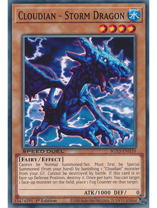 Cloudian - Storm Dragon - SGX3-ENH10 - Common